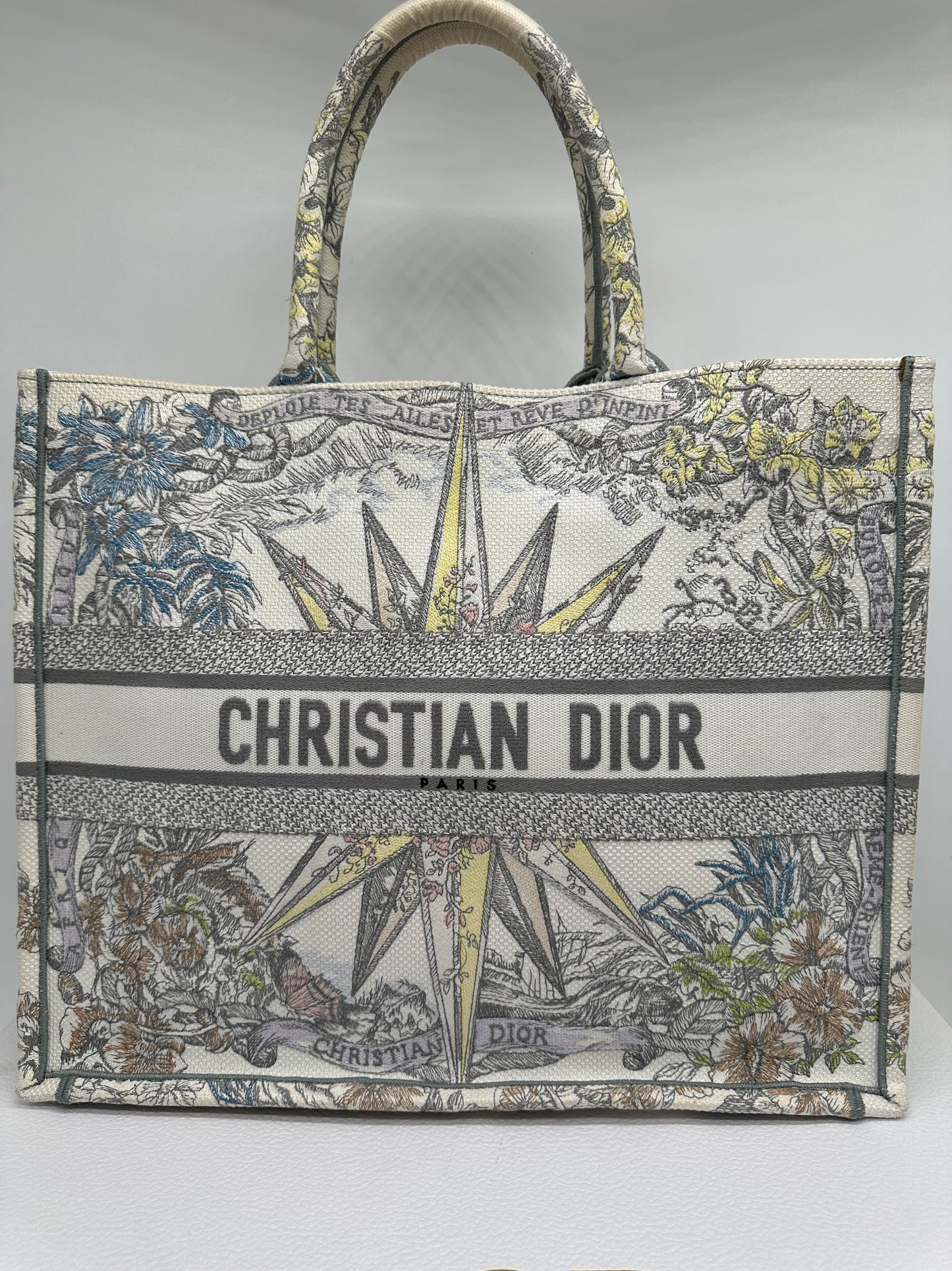 Luxury Soluciens Pre-owned DIOR large book tote with Latte embroidery