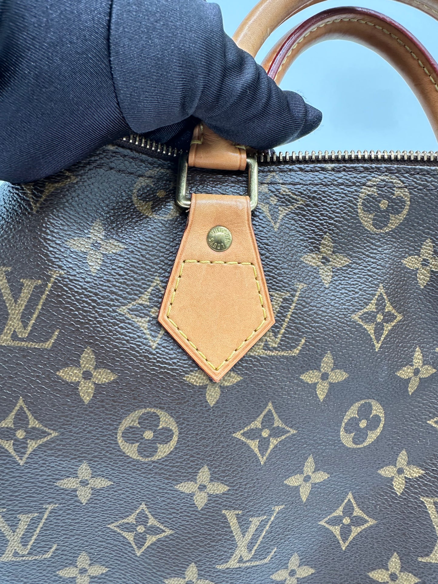Luxury Soluciens Pre-owned Louis Vuitton Speedy 30